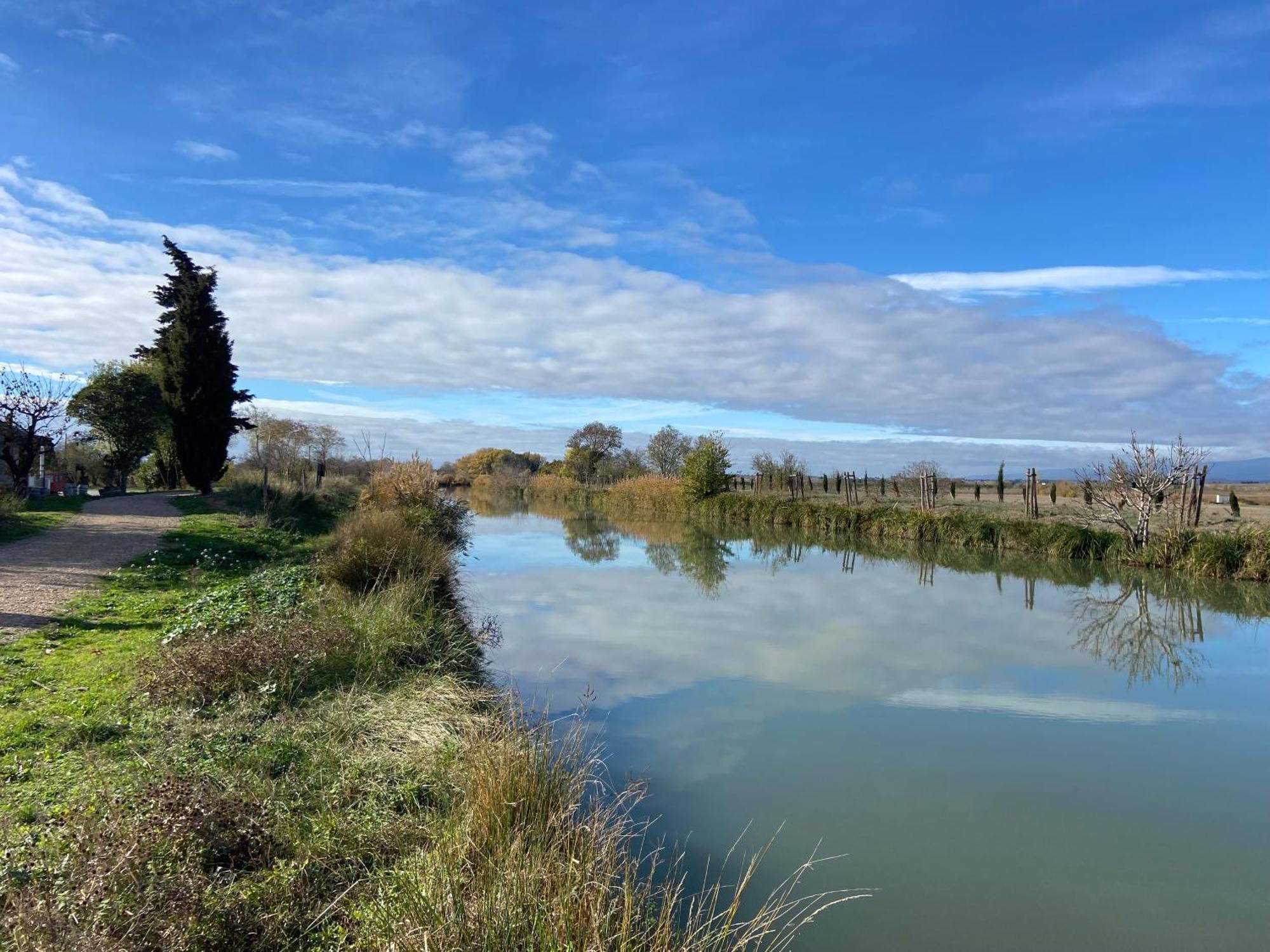 T4 Bord Canal Du Midi, Piscine Homps  Exterior foto
